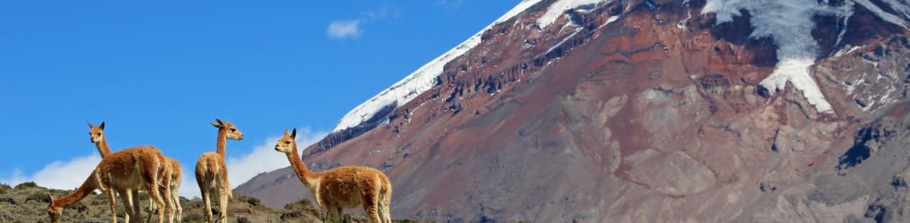 Ecuador